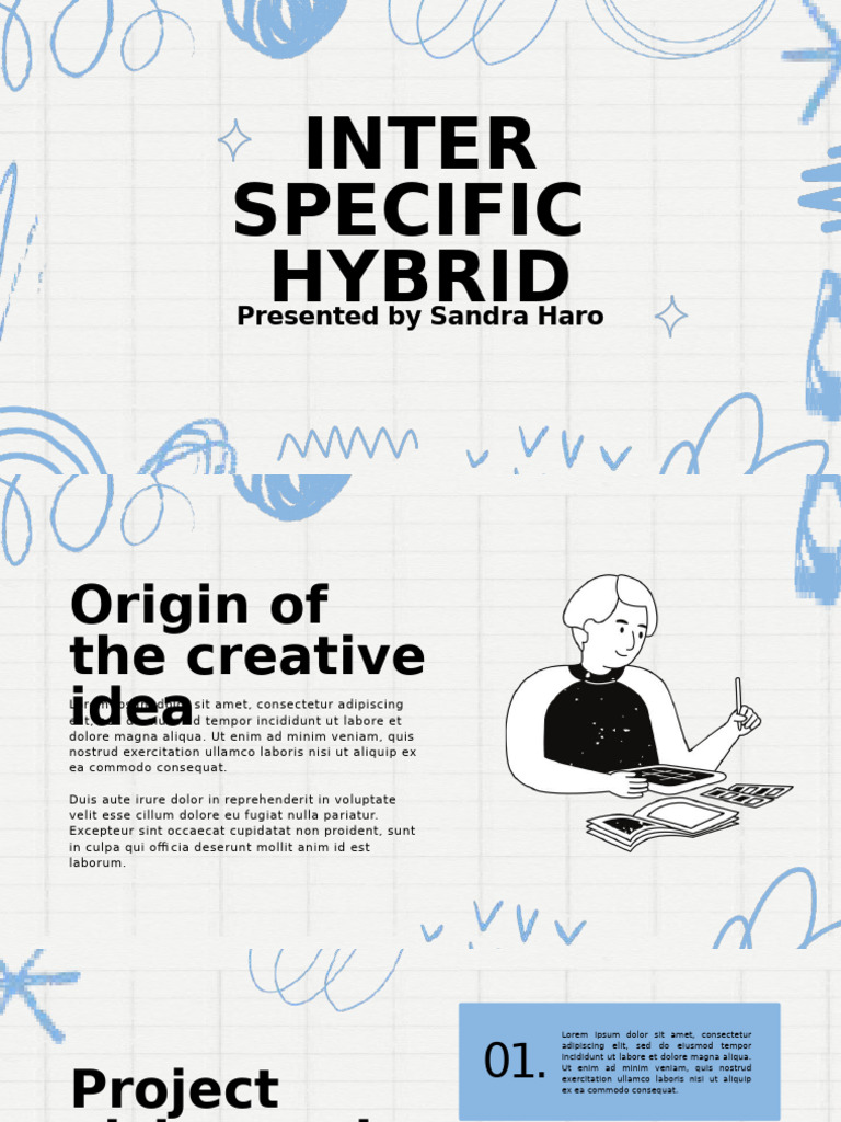 Blue Doodle Project Presentation | PDF