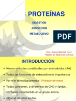 CLASE N° 4 DIGESTIÓN, ABSORCIÓN Y METABOLISMO DE LAS PROTEÍNAS