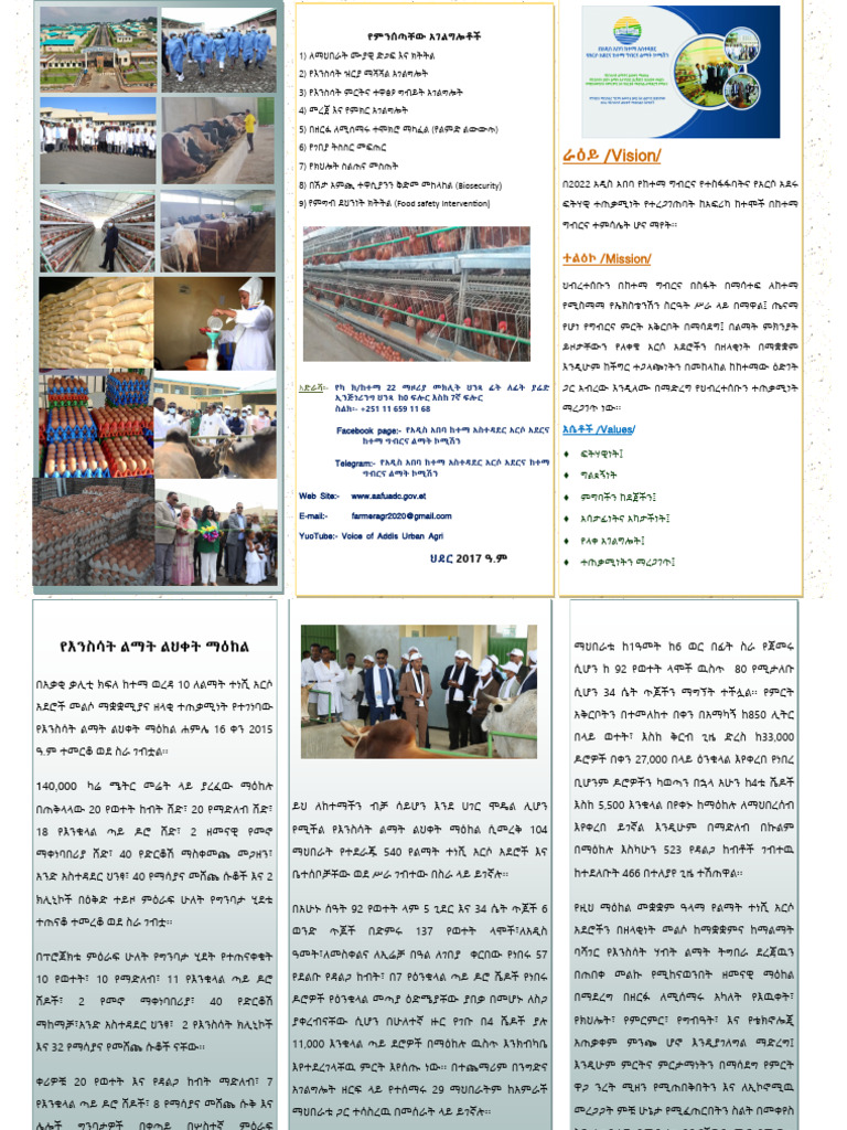 Vision/: Mission | PDF