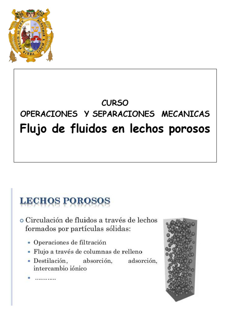 Flujo de Fluidos en Lechos Porosos | PDF
