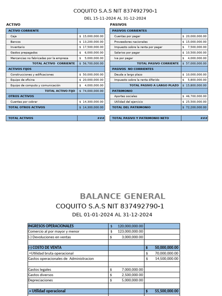 Balance General Coquito S.A.S 2024 | PDF | Hoja de balance ...