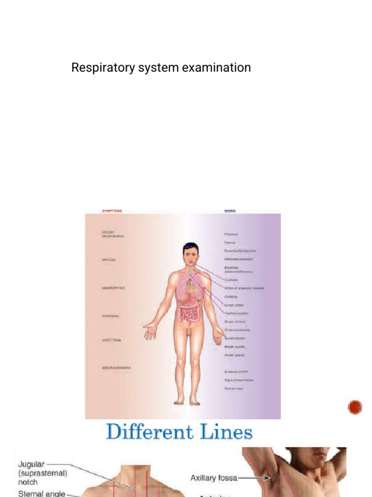 Respiratory System Examination Pdf