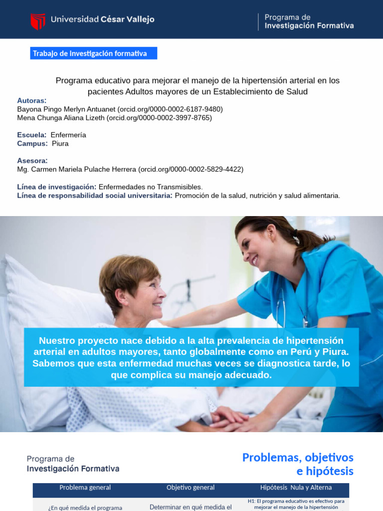 Ppts Tesis Final Bayona Pingo Merly y Mena Chunga Aliana | PDF ...