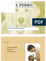 El_perro
