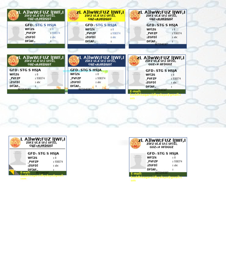 Contact Information Summary | PDF