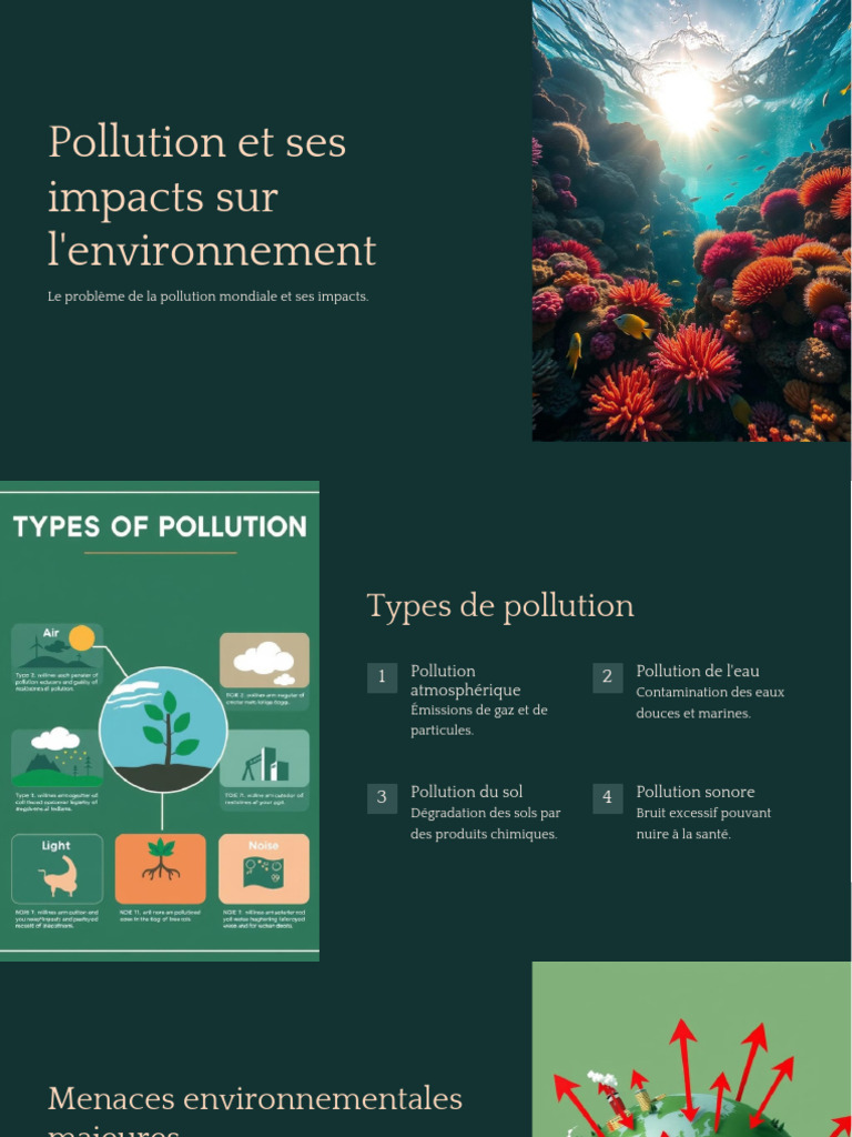 Impacts de la pollution sur l'environnement | PDF