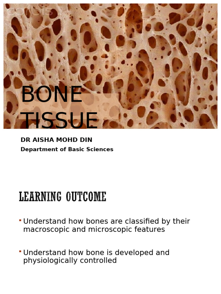 3.1 MUSCULOSKELETAL PHYSIOLOGY I | PDF | Bone | Osteoblast