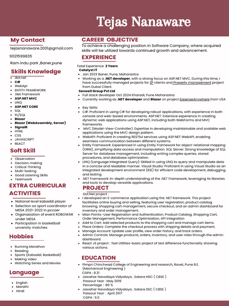 .NET Developer Profile: Skills & Experience | PDF | Language Integrated ...