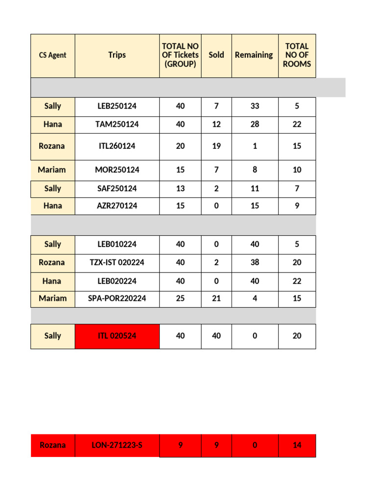 CS Agent Ticket Sales Overview | PDF