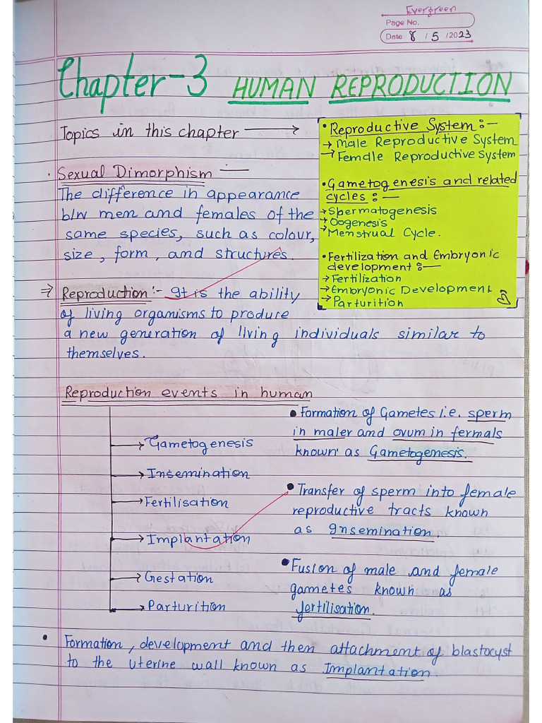 Chapter 2 Human Reproduction | PDF