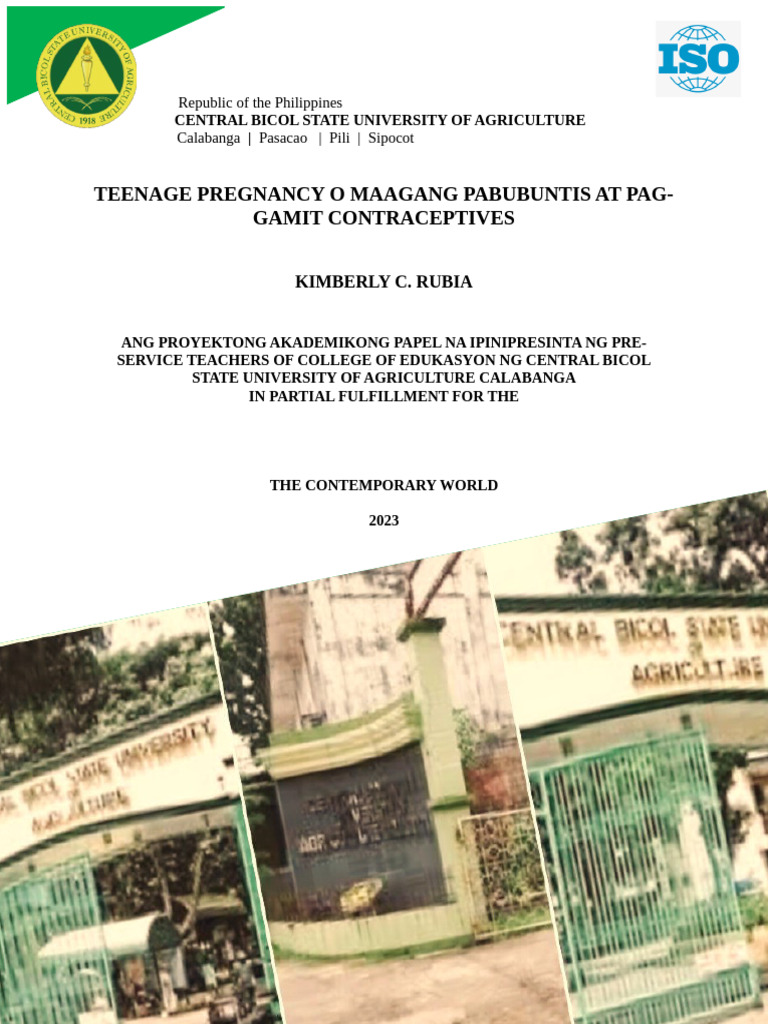 Term Paper | PDF