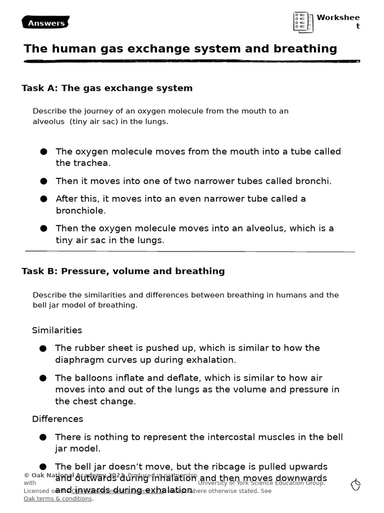 worksheet-answers | PDF