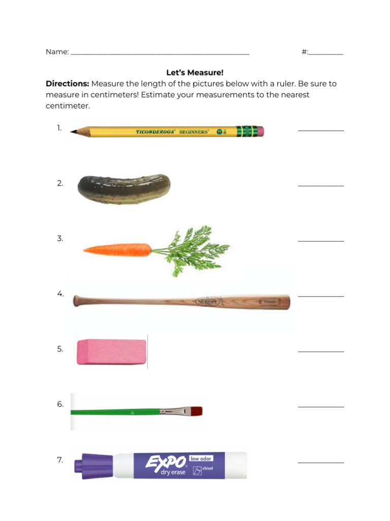 Measure Pictures in Centimeters | PDF