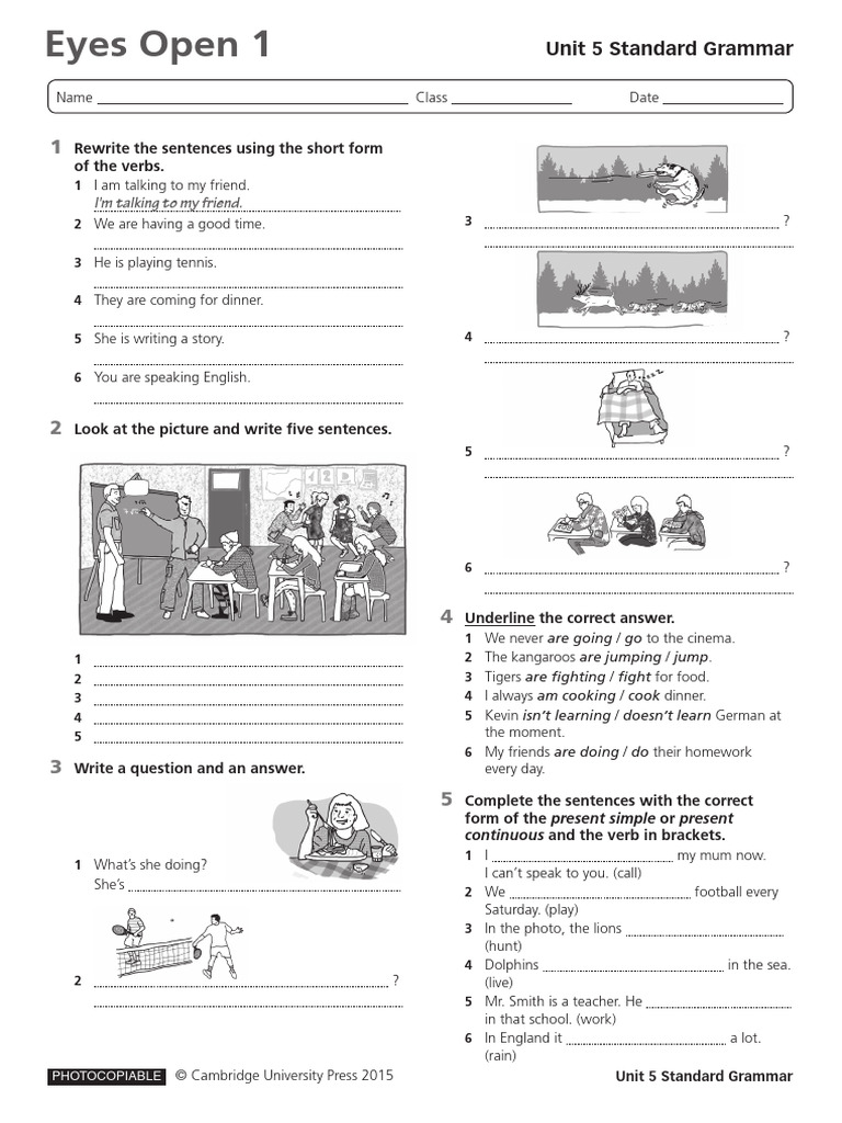 Unit 5 Standard Grammar Exercises | PDF | Linguistic Typology | Languages