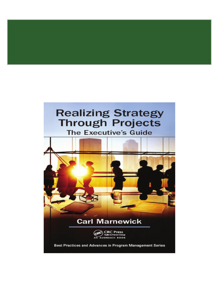 Complete Realizing Strategy Through Projects The Executive's Guide PDF ...