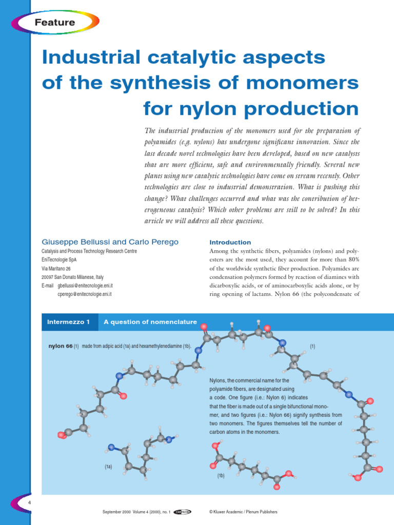 Catalytic Innovations in Nylon Monomer Production | PDF | Catalysis ...