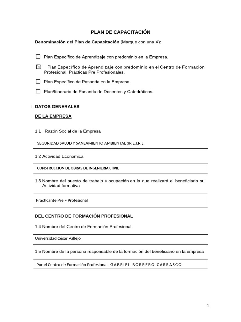 Plan de Capacitación para Practicantes | PDF | Evaluación | Business