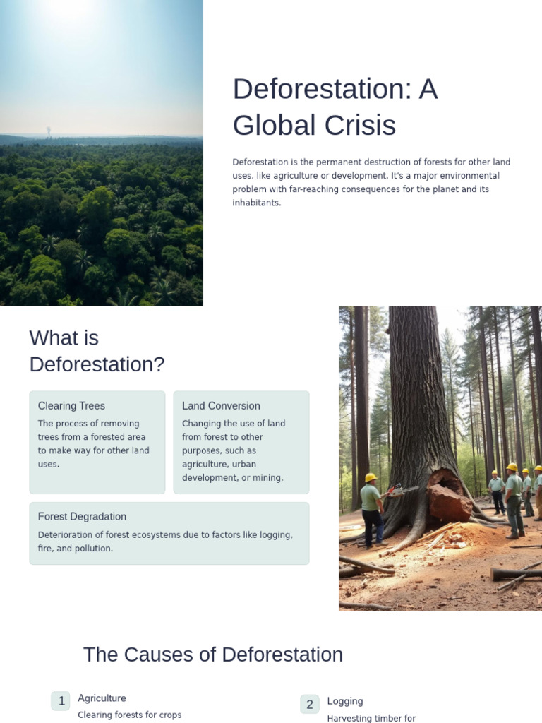 Deforestation A Global Crisis | PDF | Deforestation | Habitat Destruction