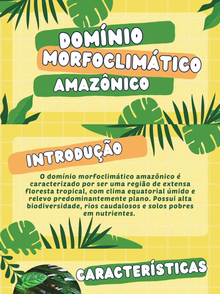 Domínio Morfoclimatico Amazônico | PDF