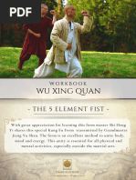 Sin I Cuan PDF | PDF | Chinese Martial Arts | Tai Chi