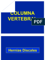 2 Hernias Discales