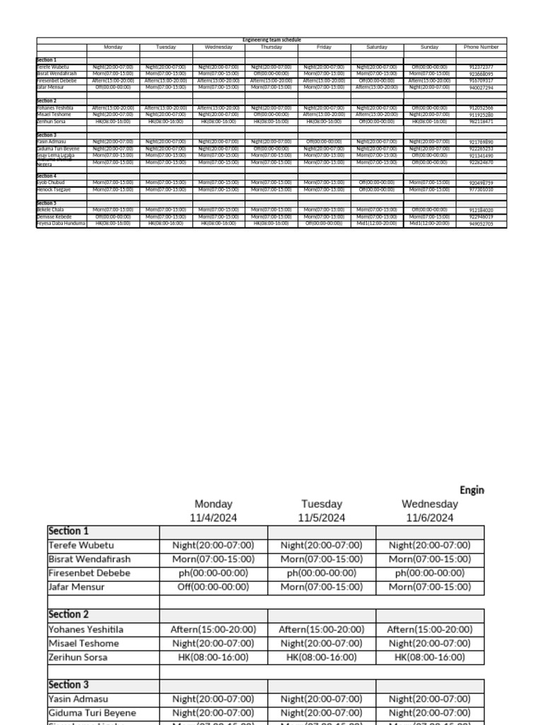 Weekly Engineering Team Schedule | PDF