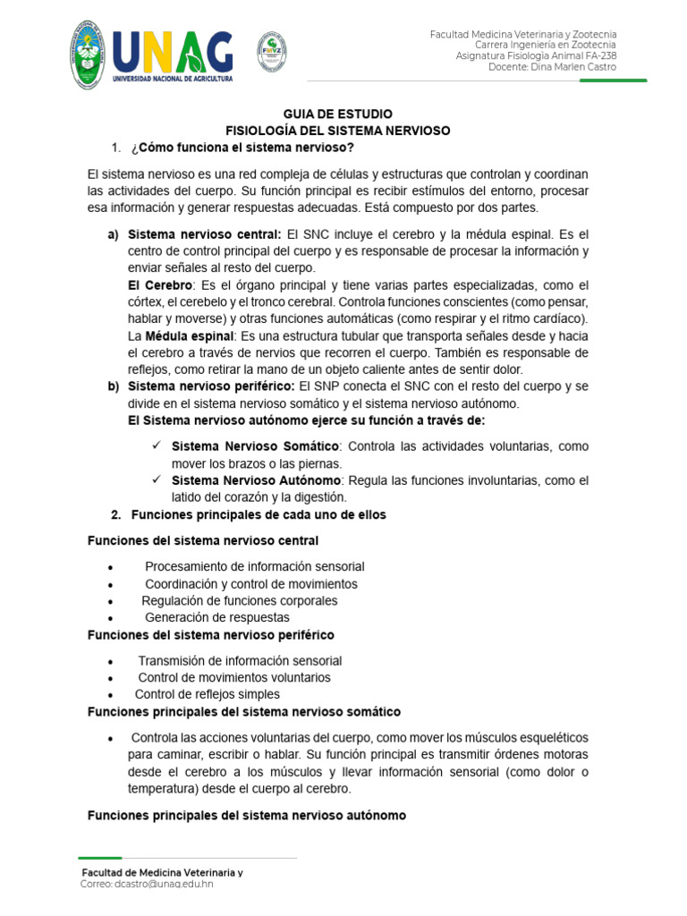 Fisiología del Sistema Nervioso Animal | PDF | Potencial de acción ...