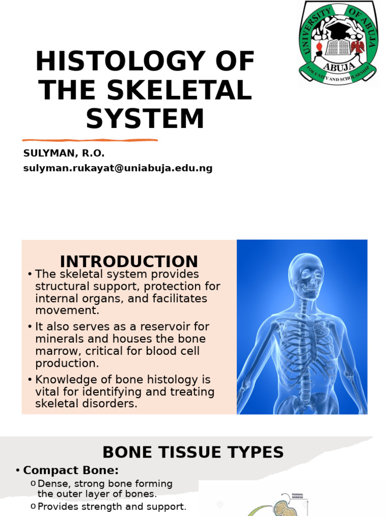 Skeletal System Histology | PDF | Bone | Osteoblast