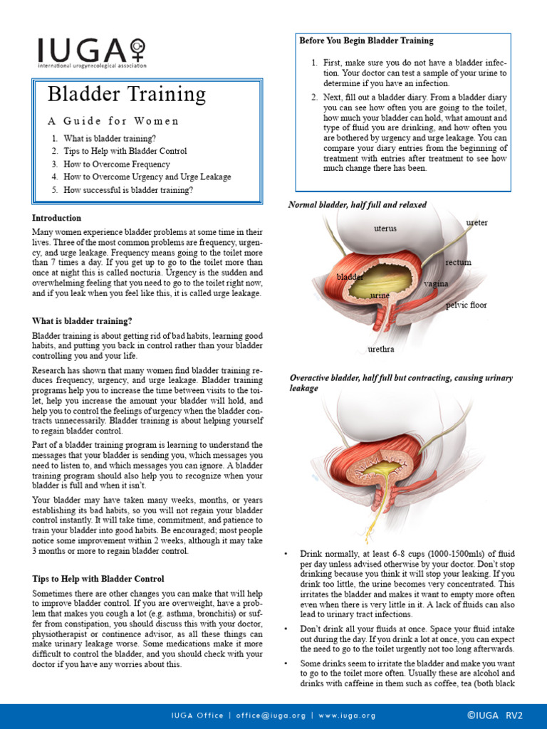 Bladder Training Guide for Women | PDF | Urinary Incontinence | Urination