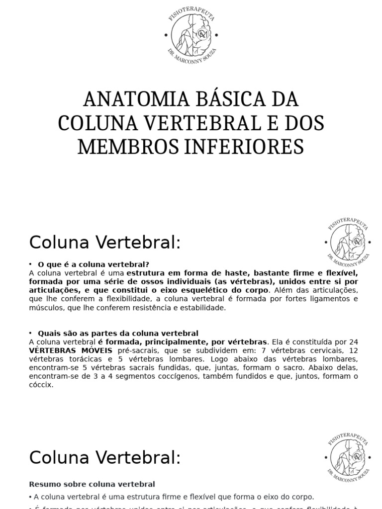Anatomia Básica Da Coluna Vertebral e Dos Membros | PDF | Coluna ...