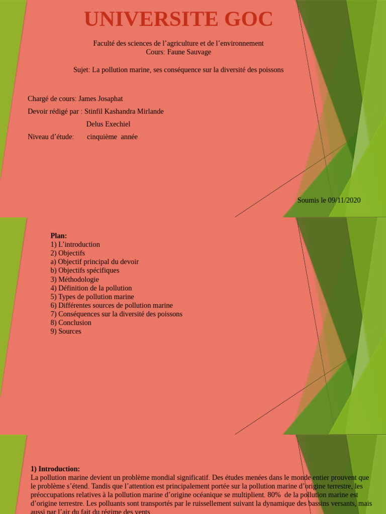 Impact de la Pollution Marine sur les Poissons | PDF | la pollution ...