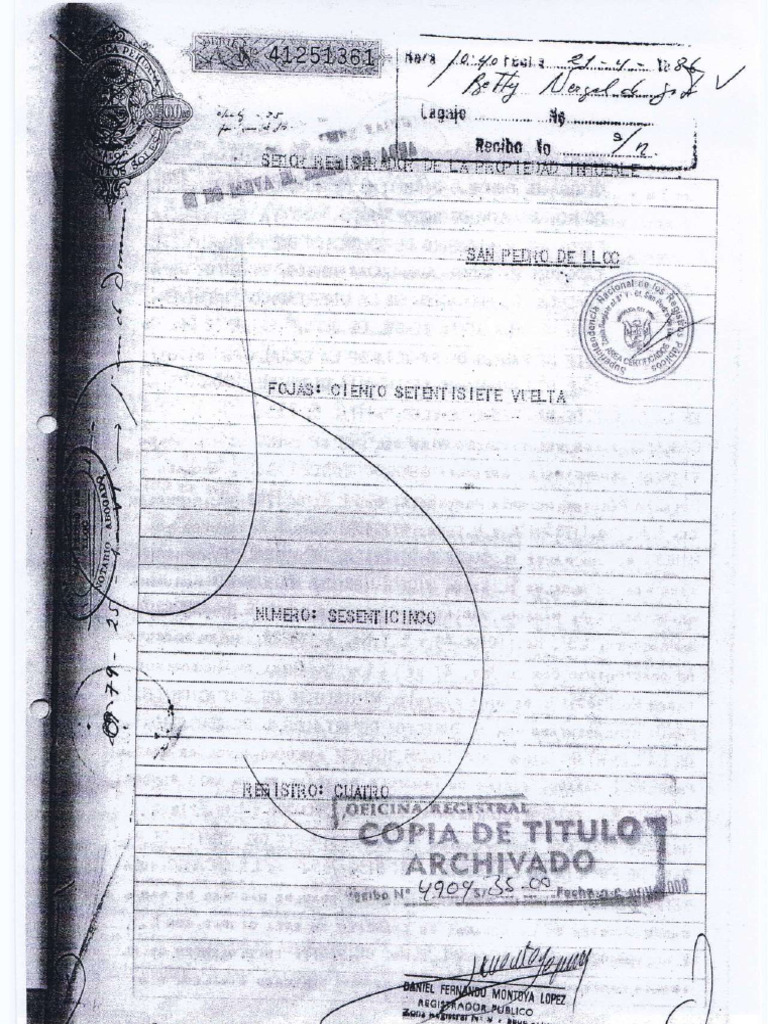 2-copia-literal-pdf