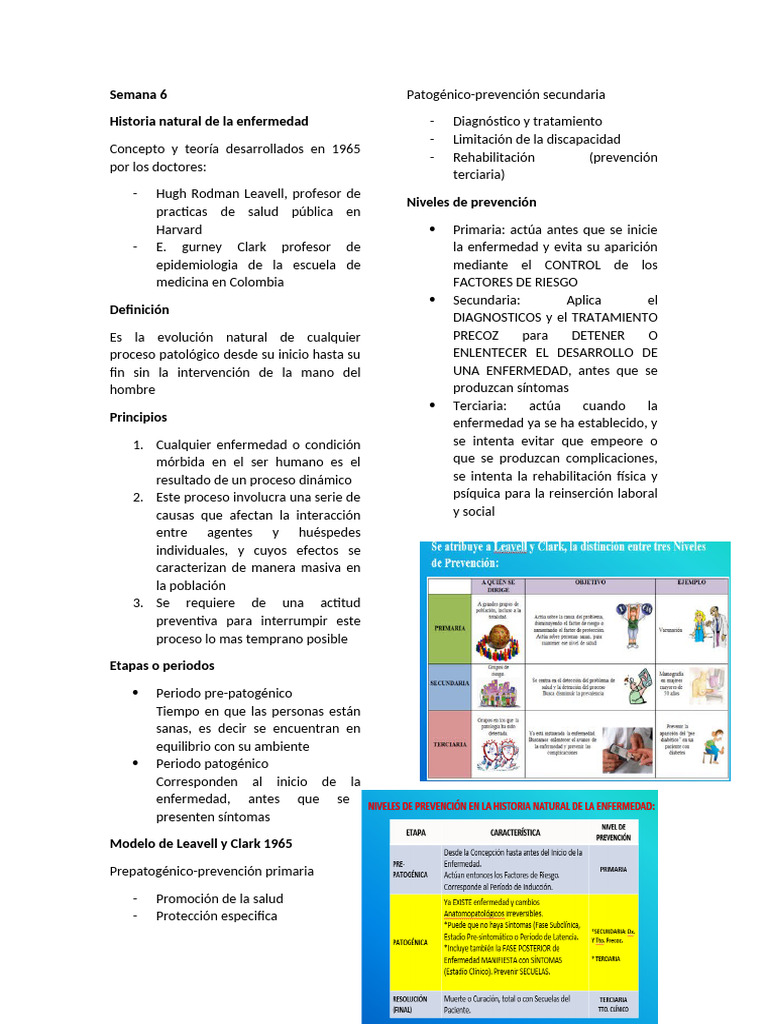 Semana 6-Salud Publica | PDF | Cuidado de la salud | Ciencias de la Salud