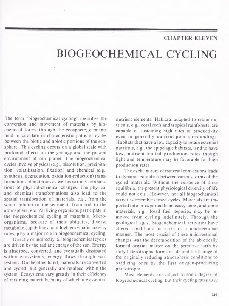 Biogeochemical Cycling | PDF | Primary Production | Food Web