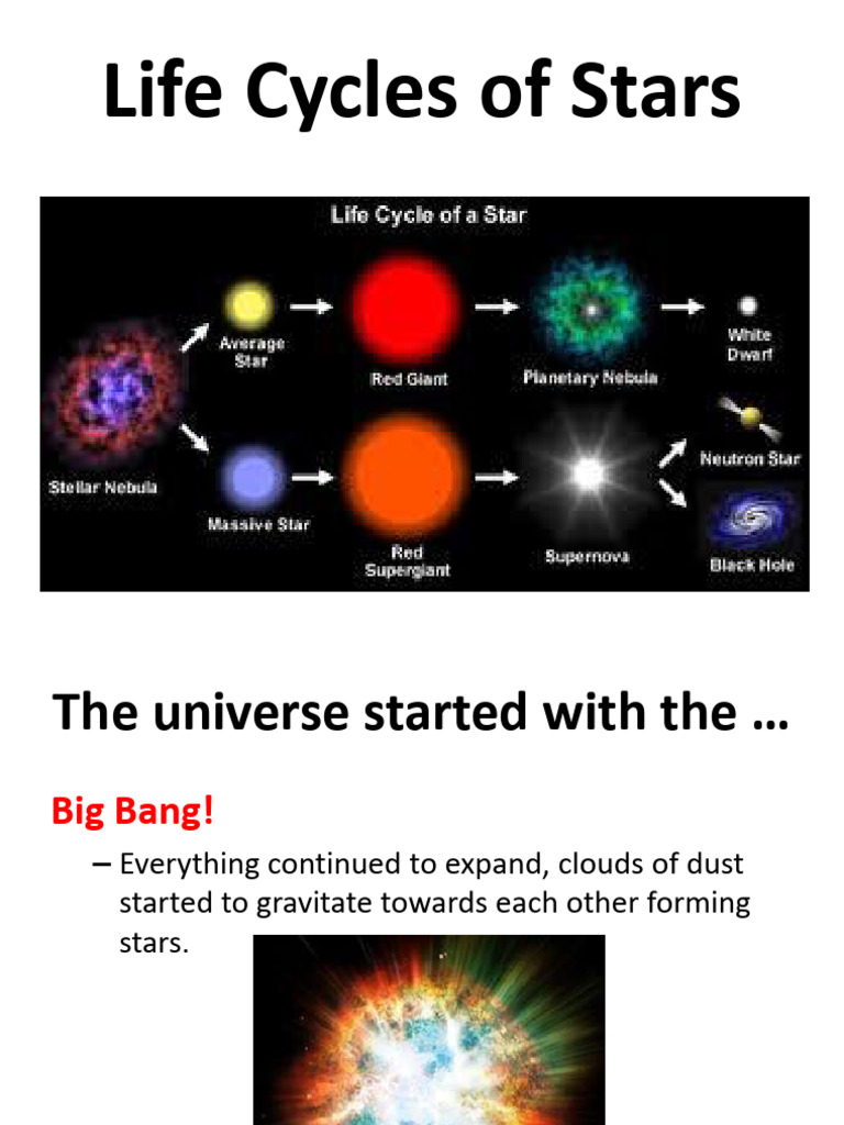 Star Life Cycles Explained | PDF | Stars | Sun