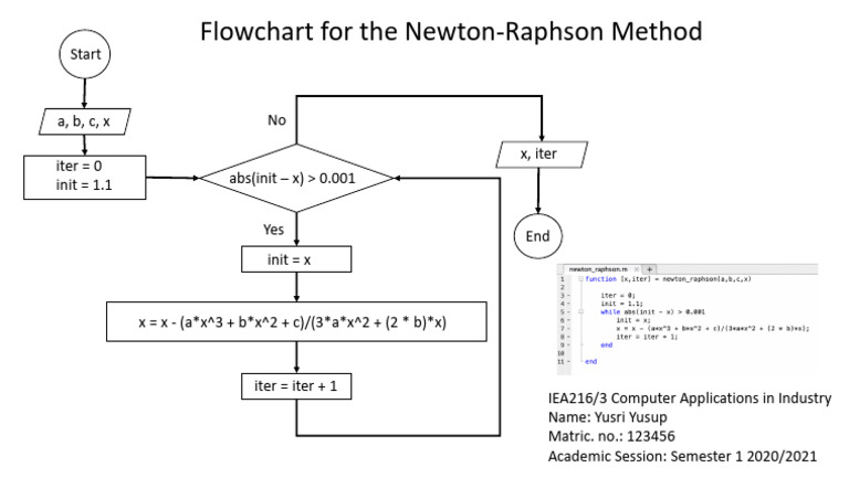 Newton-Raphson Method Flowchart | PDF