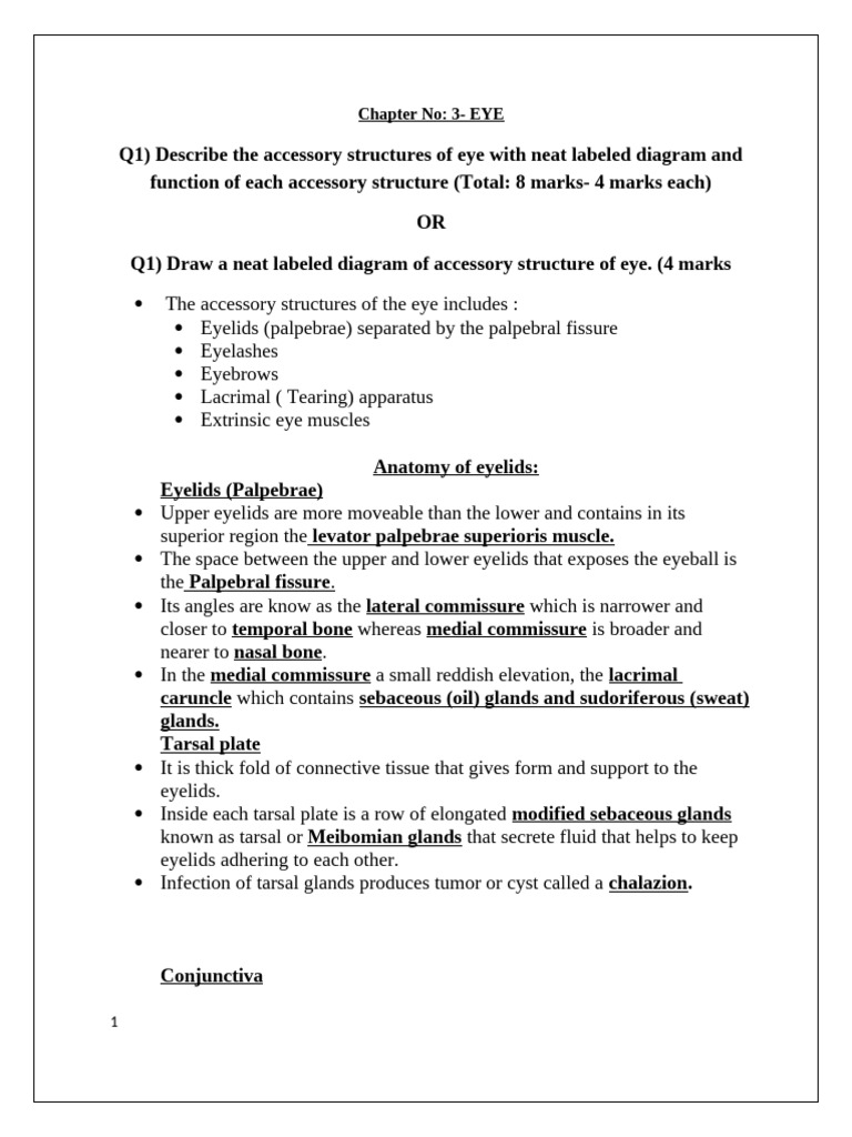 APP - III Notes of The Eye | PDF | Human Eye | Human Anatomy