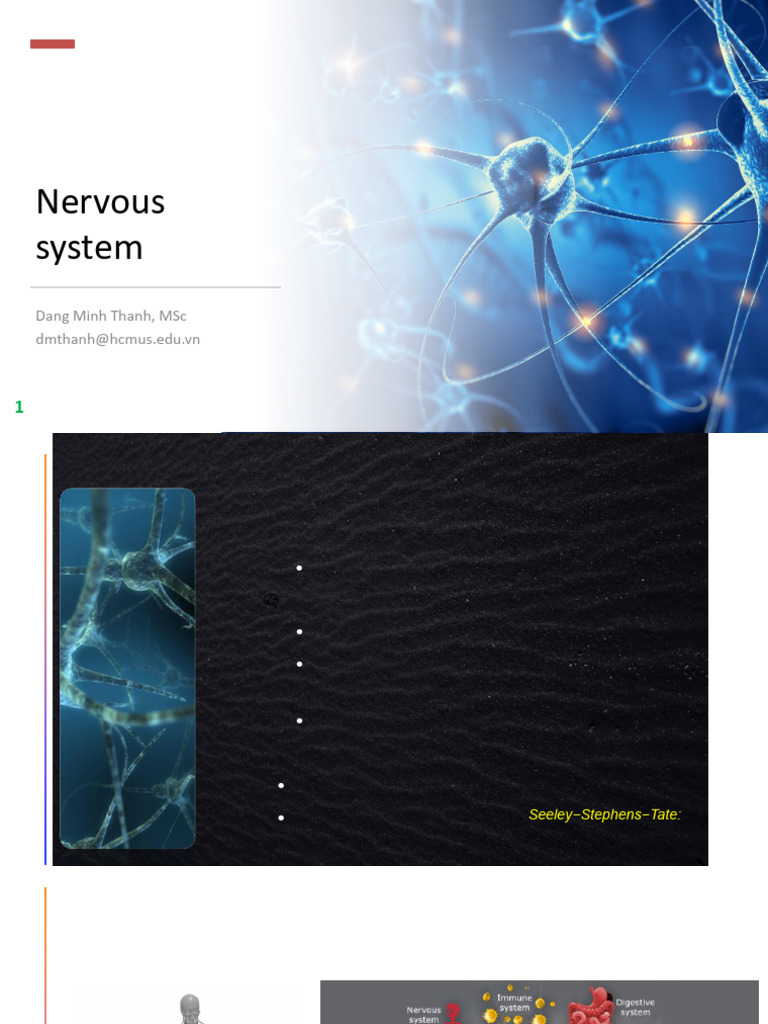 Neural and Sense Control | PDF