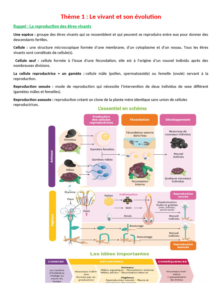 Évolution et diversité des êtres vivants | PDF | Chromosome | Allèle