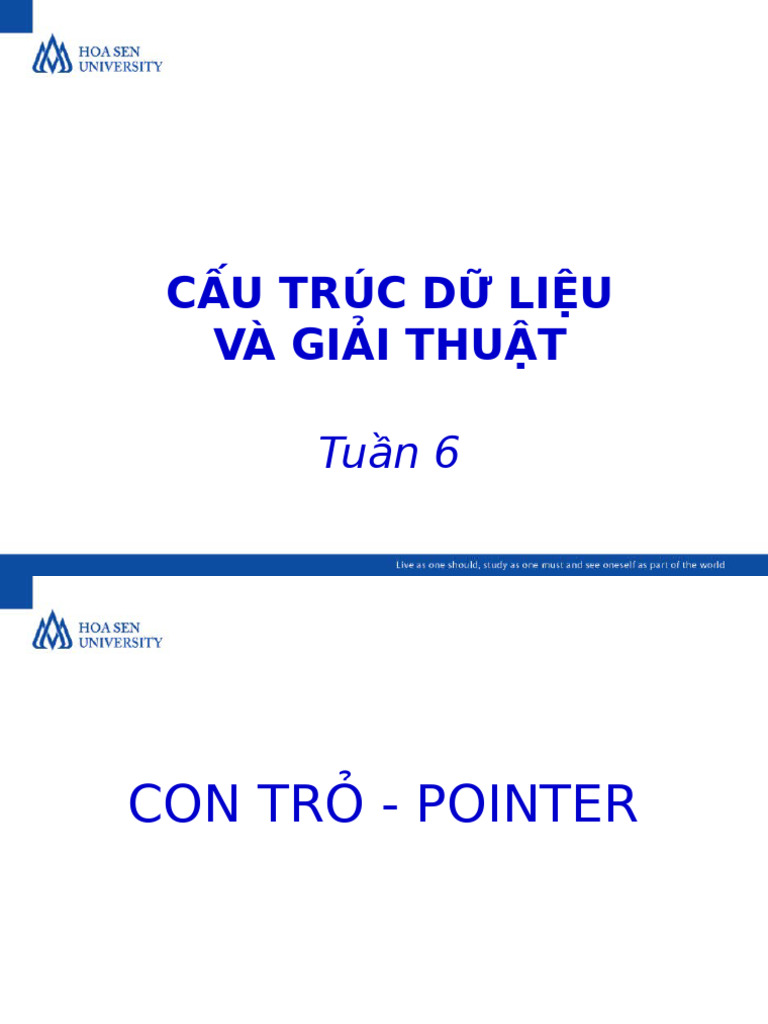 Tuan06 Pointer | PDF