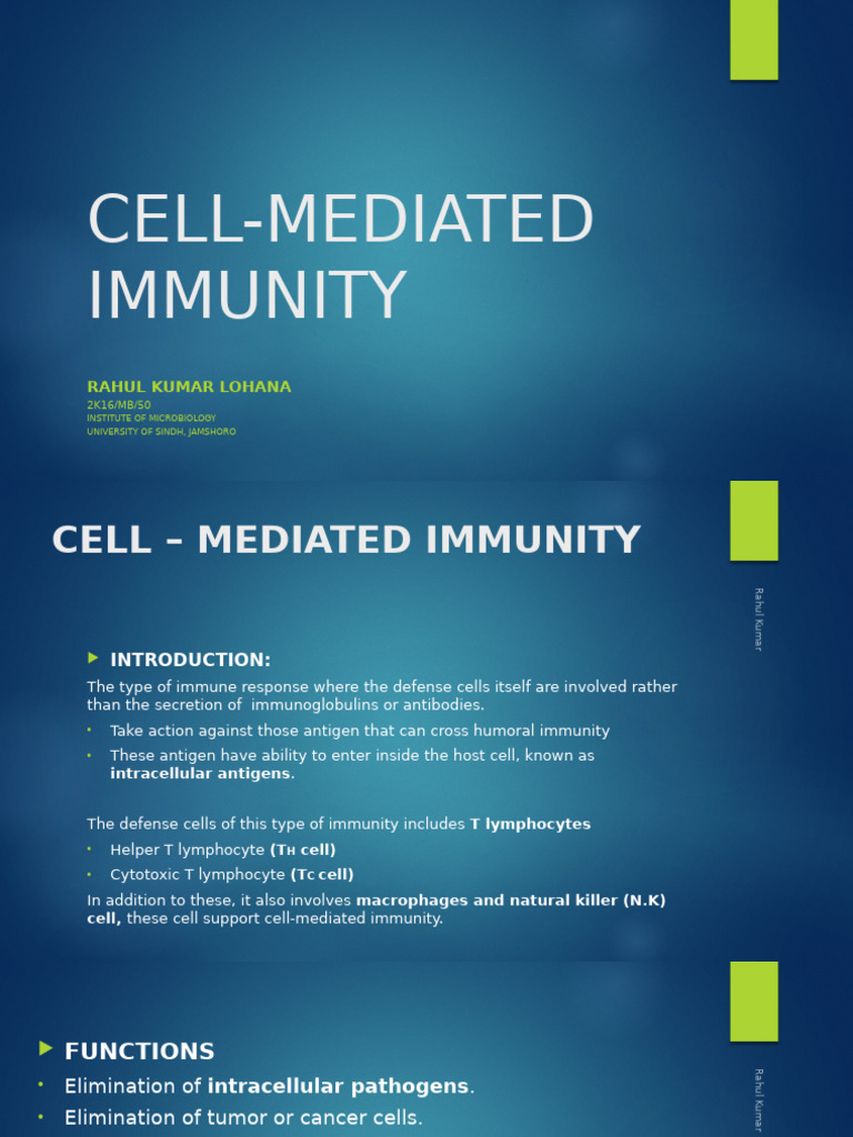 Overview of Cell-Mediated Immunity | PDF | T Helper Cell | Immune System