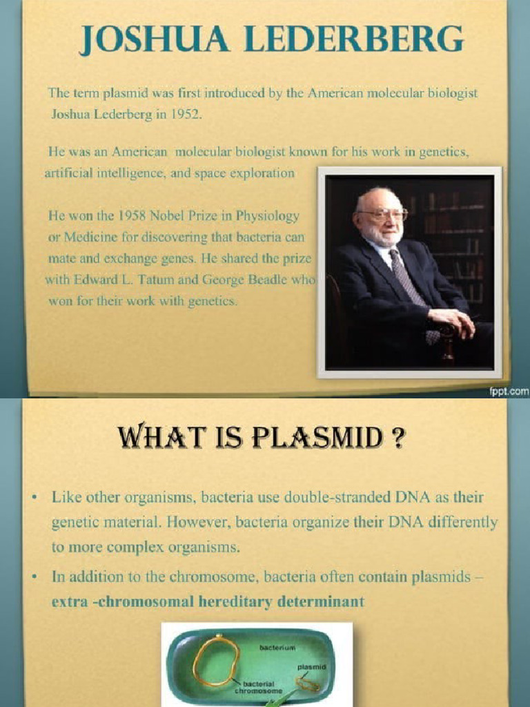 Plasmid | PDF
