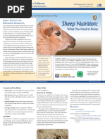 Facts About Sheep for Kids | PDF