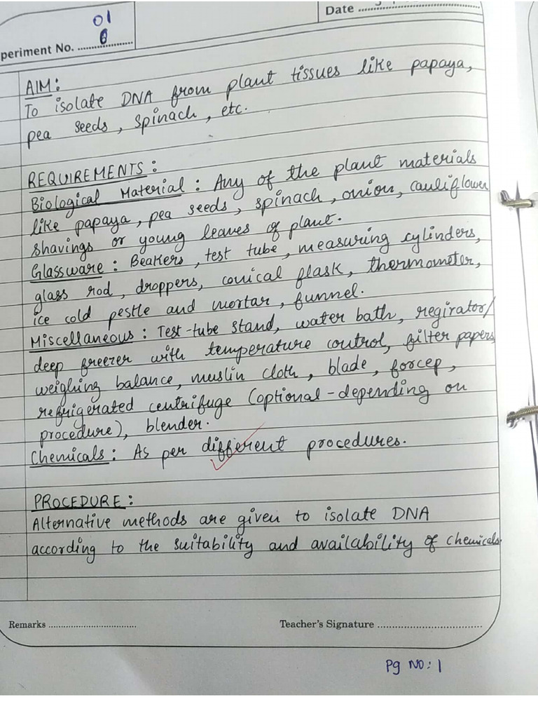 Biology Lab Record 2024 | PDF
