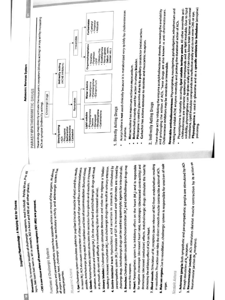 Classification | PDF