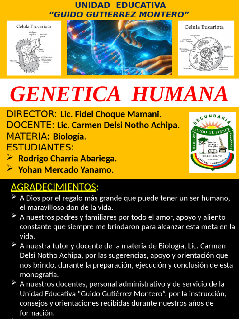 Genetica Humana | PDF | Mitosis | Clonación