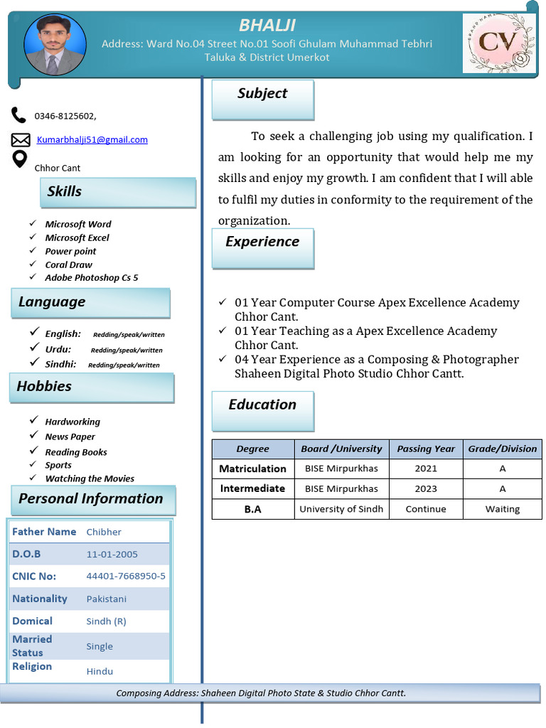 New CV | PDF