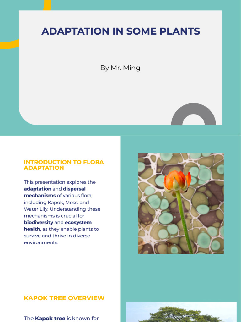 Plant Adaptations for Survival | PDF | Moss | Trees