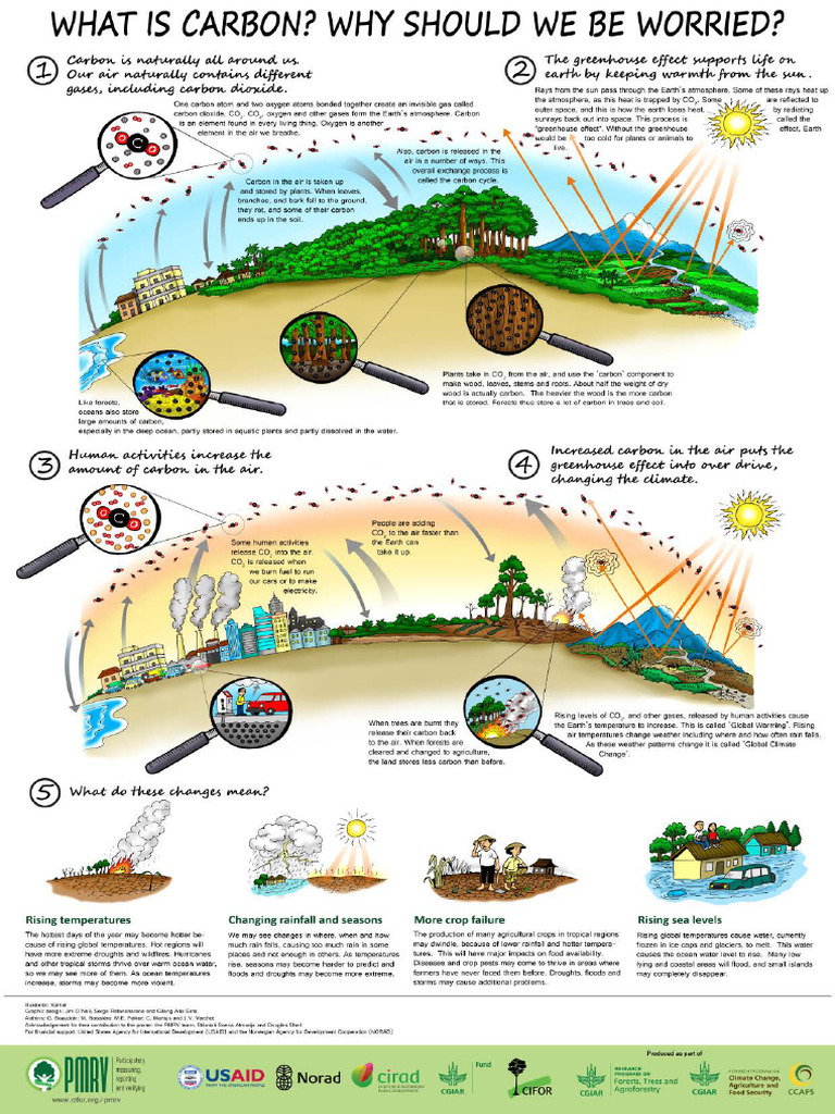 Understanding Carbon and Climate Change | PDF