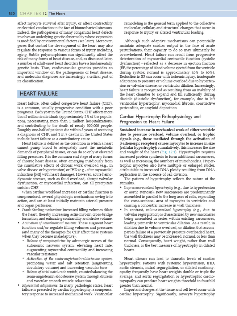 Tony Robbins visual data 4